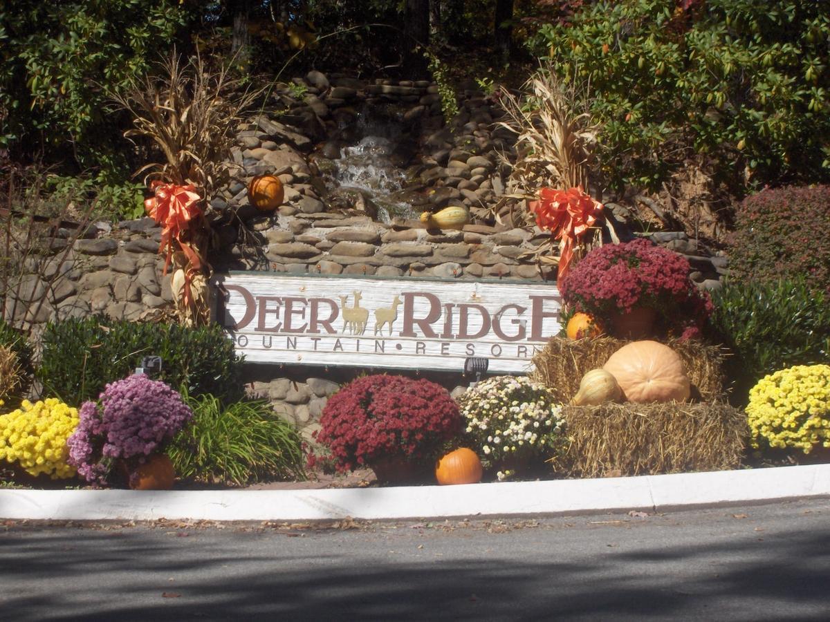 Deer Ridge Mountain Resort Pittman Center Extérieur photo